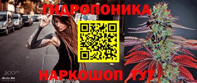 СК Бийск