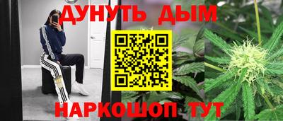 СК Бийск