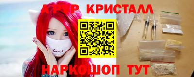 СК Бийск