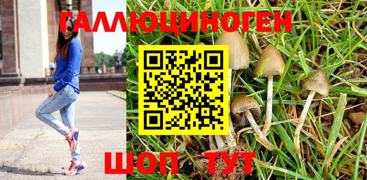 Кольчугино  Псилоцибиновые грибы Magic Shrooms  Вход с VPN  Галлюциногенные грибы Psilocybe 