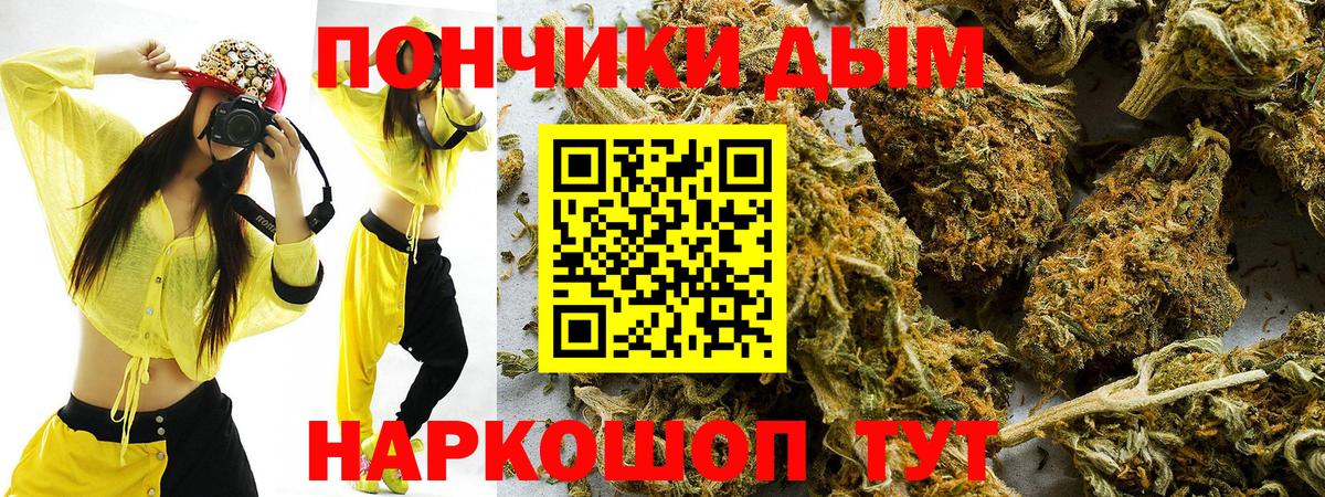 Канабис ГИДРОПОН Кольчугино